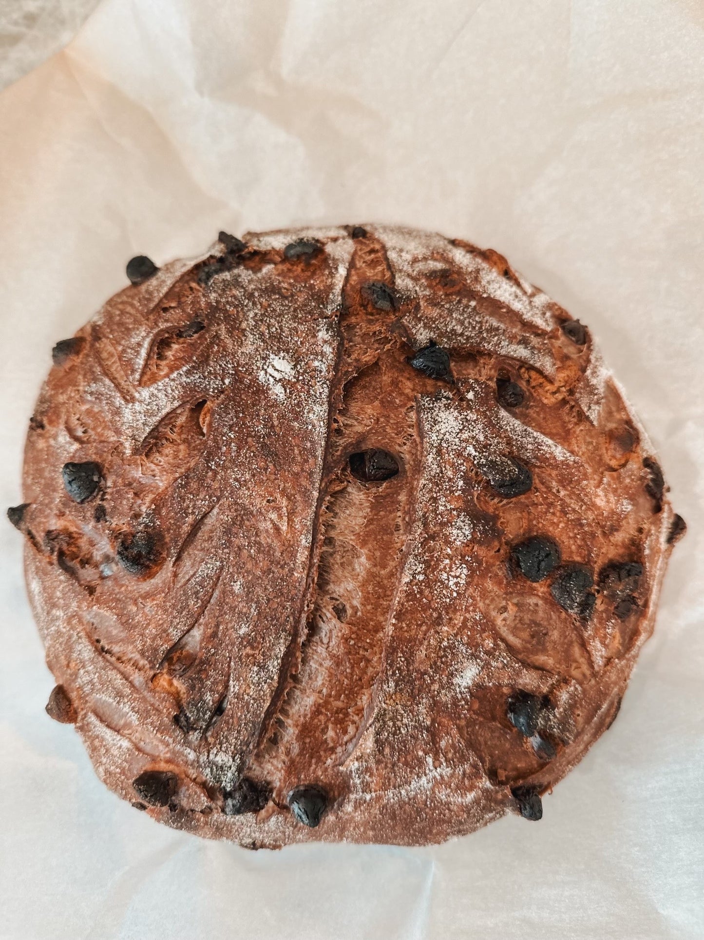 Chocolate Chocolate Chip